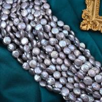 Coin odlad sötvattenspärla pärlor, Freshwater Pearl, Flat Round, DIY, grå, 9-10mm, Såld Per Ca 38 cm Strand