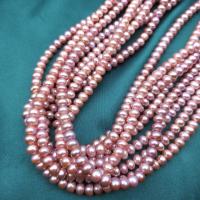 Knapp odlad sötvattenspärla pärlor, Freshwater Pearl, Flat Round, DIY, purpur, 5mm, Ca 90PC/Strand, Säljs av Strand