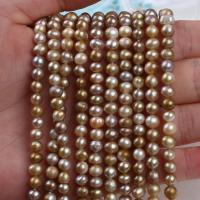 Bulvių išauginti gėlavandenių perlų karoliukai, Gėlo vandens perlų, Bulvė, Pasidaryk pats, 4-6mm, Parduota už Apytiksliai 14-15 Inch Strand