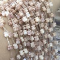 Natural Pink Shell Beads Tulip DIY 6mm Sold Per Approx 38 cm Strand