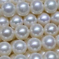 Apvalūs Kultūringas gėlavandenių perlų karoliukai, Gėlo vandens perlų, Turas, Pasidaryk pats, baltas, 10-11mm, Parduota už Apytiksliai 14-15 Inch Strand