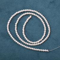 Apvalūs Kultūringas gėlavandenių perlų karoliukai, Gėlo vandens perlų, Turas, Pasidaryk pats, baltas, 3mm, Parduota už Apytiksliai 40 cm Strand