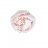 Mygtukas Kultūringas gėlavandenių perlų karoliukai, Gėlo vandens perlų, Pasidaryk pats, mišrios spalvos, 8mm, Parduota už Apytiksliai 37-40 cm Strand