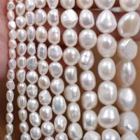 Keishi ferskvandskulturperle Beads, Ferskvandsperle, du kan DIY & forskellig størrelse for valg, hvid, Solgt Per Ca. 36-39 cm Strand