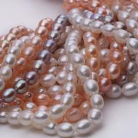 Perlas Arroz Freshwater, Perlas cultivadas de agua dulce, Bricolaje & para mujer, más colores para la opción, 5-6mm, Vendido para aproximado 15.7 Inch Sarta