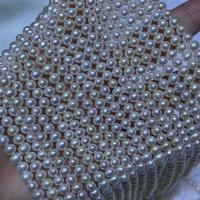 Apvalūs Kultūringas gėlavandenių perlų karoliukai, Gėlo vandens perlų, Ovalus, Pasidaryk pats & moters, baltas, 5-6mm, Parduota už Apytiksliai 15.7 Inch Strand