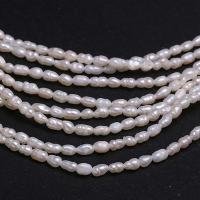 Perlas Arroz Freshwater, Perlas cultivadas de agua dulce, Bricolaje, Blanco, 2-3mm, Vendido para aproximado 15 Inch Sarta