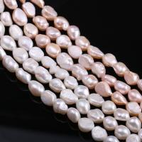 Keishi ferskvandskulturperle Beads, Ferskvandsperle, Uregelmæssig, du kan DIY, flere farver til valg, 10-11mm, Solgt Per Ca. 11.8 inch Strand