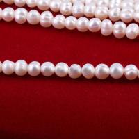 Přírodní sladkovodní perly perlí, Sladkovodní Pearl, DIY, bílý, 5-6mm, Prodáno za Cca 12 inch Strand