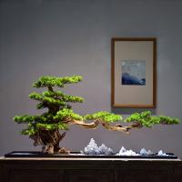 Pine Decoration handmade for home and office Sold By PC