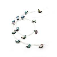 Perles coquillage d'ormeau, coquille d'ormeau, lune, DIY, multicolore, 8x12mm, Environ 20PC/brin, Vendu par brin