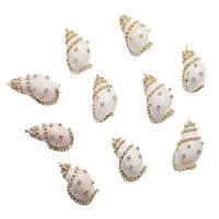 Natural Trumpet Shell Pendants Conch gold color plated fashion jewelry & DIY & with rhinestone white 32mmx21mm-38mmx25mm Sold By PC