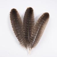 Feather Decoration DIY Sold By PC