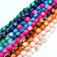 Prirodni boji Shell perle, Školjka, možete DIY, više boja za izbor, 6-10mm, Približno 48računala/Strand, Prodano By Strand