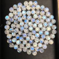Moonstone Cabochon Round polished DIY white 10mm Approx Sold By Bag