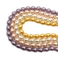 Natural Seashell Beads Teardrop DIY Sold Per Approx 38 cm Strand