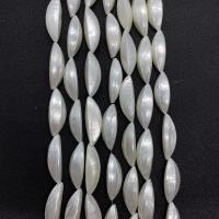 Naturlig Freshwater Shell Perler, du kan DIY, hvid, 12x30mm, Solgt Per Ca. 38 cm Strand