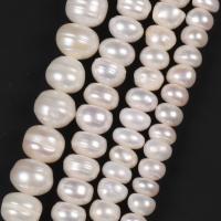 Naturlige ferskvands perle løs perler, Ferskvandsperle, du kan DIY & forskellig størrelse for valg, Solgt af Strand