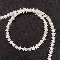 Naturlig Freshwater Shell Perler, du kan DIY & forskellig størrelse for valg & forskellige stilarter for valg, hvid, Solgt Per Ca. 14.96 inch Strand