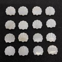 Naturlig Freshwater Shell Perler, du kan DIY & forskellige stilarter for valg, hvid, 11x15mm, Solgt af PC
