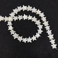 Prirodni Slatkovodni Shell perle, Zvijezda, možete DIY & različite veličine za izbor, bijel, Prodano Per Približno 14.96 inčni Strand