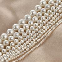 South Sea Shell Beads Shell Pearl Round DIY nickel lead & cadmium free Sold Per Approx 14.96 Inch Strand
