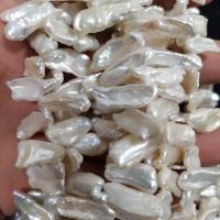 Perles de nacre de culture d'eau douce Biwa, perle d'eau douce cultivée, Baroque, DIY, blanc, 9x19mm, Vendu par Environ 15 pouce brin