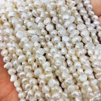 Keishi ferskvandskulturperle Beads, Ferskvandsperle, Barok, du kan DIY, hvid, 3-4mm, Ca. 93pc'er/Strand, Solgt Per Ca. 13.77 inch Strand