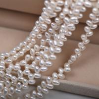 Cultured Rice Freshwater Pearl Beads, DIY & top drilled, white, 4-4.5mm, Sold Per Approx 37-38 cm Strand