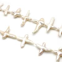 Keishi ferskvandskulturperle Beads, Ferskvandsperle, Kryds, du kan DIY & forskellige stilarter for valg, hvid, 17x25-25x45mm, Solgt Per Ca. 14.96 inch Strand