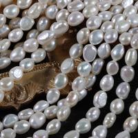Perles de culture d'eau douce Keishi, perle d'eau douce cultivée, DIY, blanc, 8x10mm, Trou:Environ 0.7mm, Longueur 35 cm, Vendu par PC
