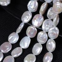 Mygtukas Kultūringas gėlavandenių perlų karoliukai, Gėlo vandens perlų, Pasidaryk pats, baltas, 15mm, Skylė:Apytiksliai 0.7mm, Parduota už 39 cm Strand