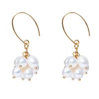Freshwater Pearl Earrings with Brass gold color plated fashion jewelry & for woman white 6-7mm Sold By Pair