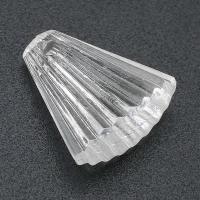 アクリルペンダント, アクリル, DIY, 透明色（例えばガラス）, 15.50x18x8mm, 穴:約 2mm, 売り手 バッグ