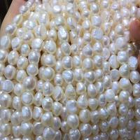 Perles de culture d'eau douce Keishi, perle d'eau douce cultivée, Baroque, DIY, blanc, 7-8mm, Vendu par Environ 15 pouce brin