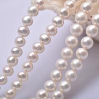Přírodní sladkovodní perly perlí, Sladkovodní Pearl, DIY & různé velikosti pro výběr, bílý, Délka 36-38 cm, Prodáno By PC