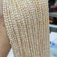 Cultured Rice Freshwater Pearl Beads DIY white Length 35-37 cm Sold By PC