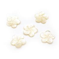 Natural Seashell Beads Flower Carved DIY white 27mm Sold By PC