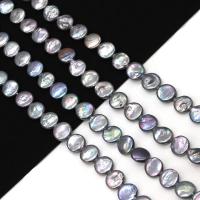 Cultured Coin Freshwater Pearl Beads Flat Round DIY black 10-11mm Sold Per Approx 38 cm Strand
