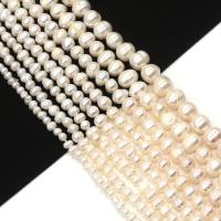 Brambor pěstované sladkovodní perle, Sladkovodní Pearl, DIY & různé velikosti pro výběr, bílý, Prodáno za Cca 38 cm Strand