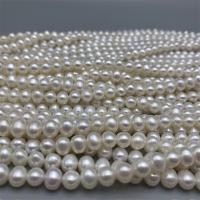 Přírodní sladkovodní perly perlí, Sladkovodní Pearl, DIY, bílý, 7-8mm, Prodáno za Cca 15 inch Strand