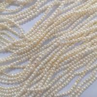 Přírodní sladkovodní perly perlí, Sladkovodní Pearl, DIY, bílý, 2.5-3mm, Prodáno za Cca 36-38 cm Strand
