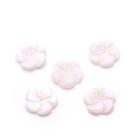 الخرز شل الأبيض الطبيعي, زهرة, منحوتة, ديي & حجم مختلفة للاختيار, أبيض, تباع بواسطة PC