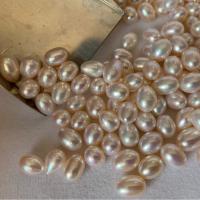 Cultured No Hole Freshwater Pearl Beads DIY 7-8mm Sold By PC