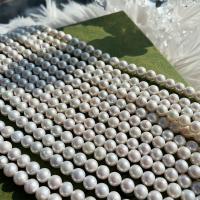 Gėlo vandens Kultūringas branduolį perlų karoliukai, Gėlo vandens perlų, Pasidaryk pats & skirtingo dydžio pasirinkimo, baltas, Parduota už Apytiksliai 15 Inch Strand