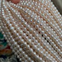 Přírodní sladkovodní perly perlí, Sladkovodní Pearl, DIY, bílý, 5-6mm, Prodáno za Cca 38 cm Strand