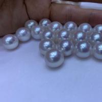 Cultured No Hole Freshwater Pearl Beads, DIY, white, 11-12mm, Sold By PC