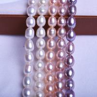 Perlas Arroz Freshwater, Perlas cultivadas de agua dulce, Bricolaje, más colores para la opción, 7-8mm, Vendido para aproximado 39 cm Sarta
