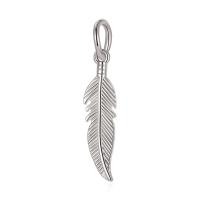 Zinc Alloy Feather Pendants plated DIY & enamel 10-30mm Sold By PC