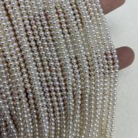 Přírodní sladkovodní perly perlí, Sladkovodní Pearl, DIY, bílý, 2.5-3mm, Prodáno za Cca 15 inch Strand